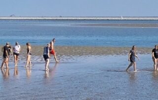 Personen Wandern durchs Wattmeer