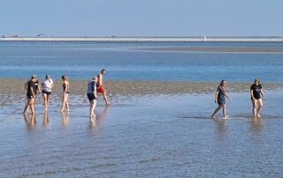 Personen Wandern durchs Wattmeer