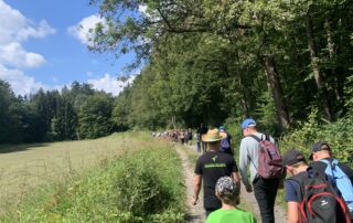 Wanderung von Jugendlichen auf einem Feldweg neben einem Wald