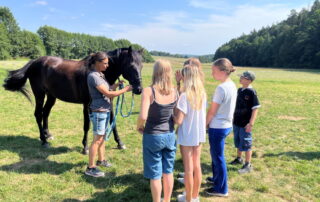 Ein dunkelbraunes Pferd steht mit Pferdephysiotherapeutin Inke Mommsen und 5 Kindern auf der Wiese am Jugendzeltplatz in Reutersbrunn.