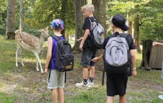 Drei Jungs stehen im Wildgehege des Wildparks Schloss Tambach vor einem Dammwild.